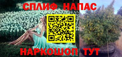 гашиш Нарткала