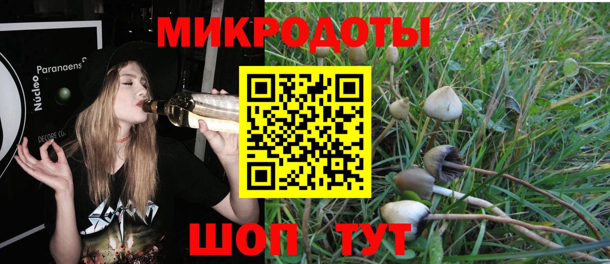 Псилоцибиновые грибы Magic Shrooms Советская Гавань