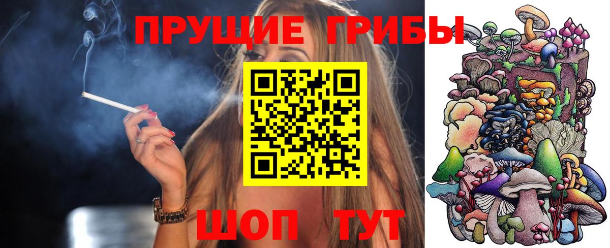 Советская Гавань  Галлюциногенные грибы GOLDEN TEACHER  Вход с VPN 